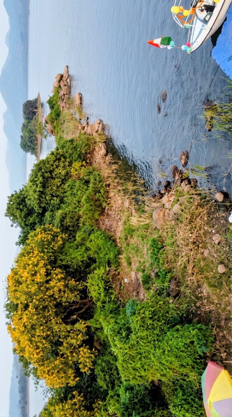 Island Landing